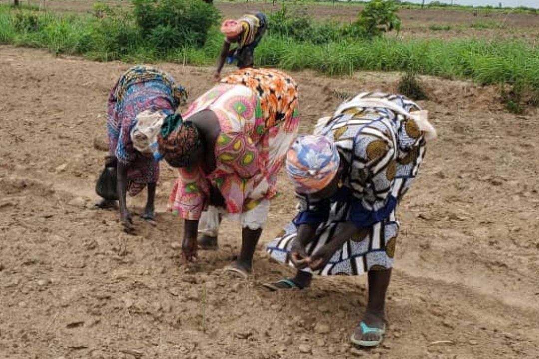 Embracing Heritage and Empowerment Through Fashion: The Seed2Shirt Journey